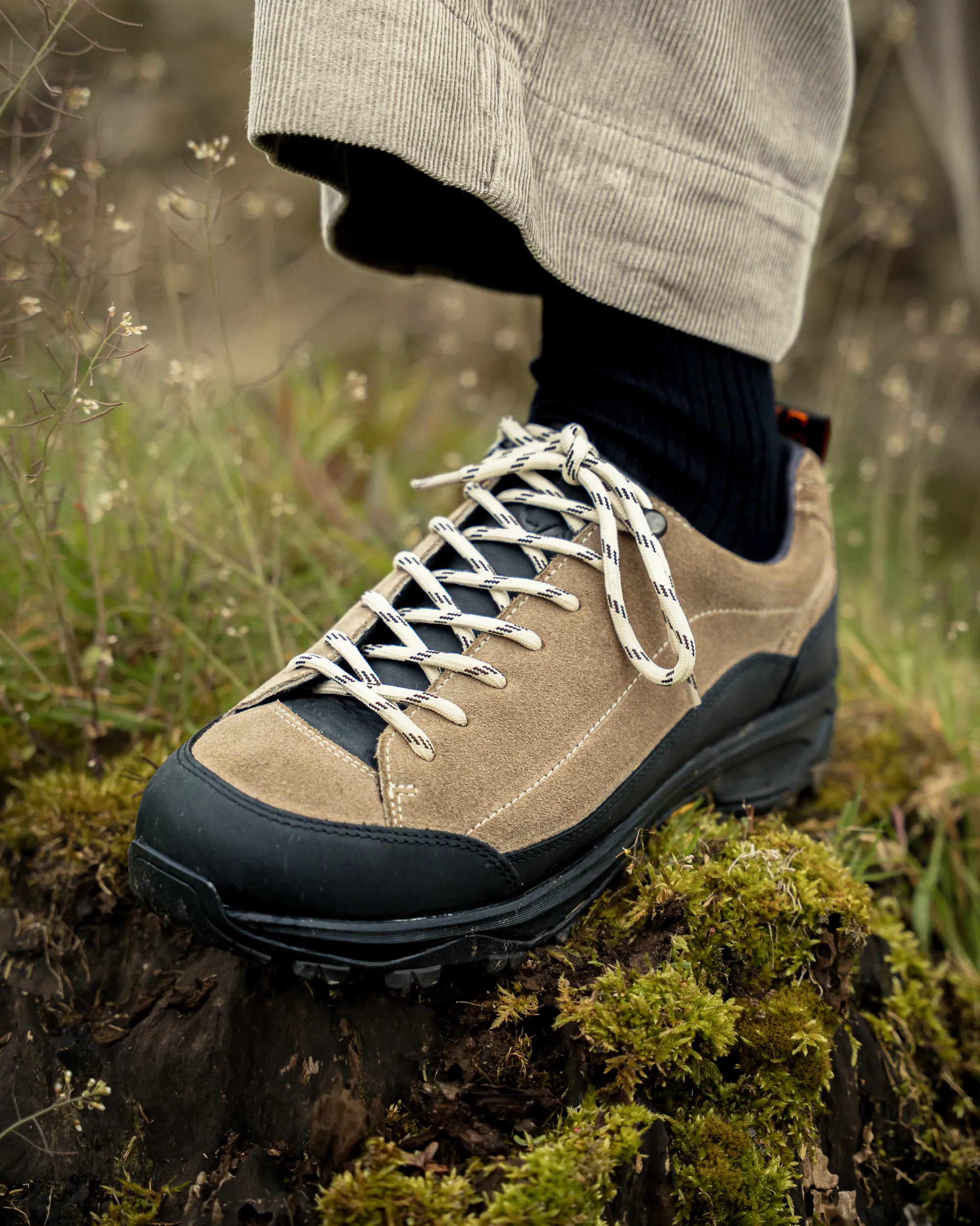 EDENFIELD / TAUPE - Image 5