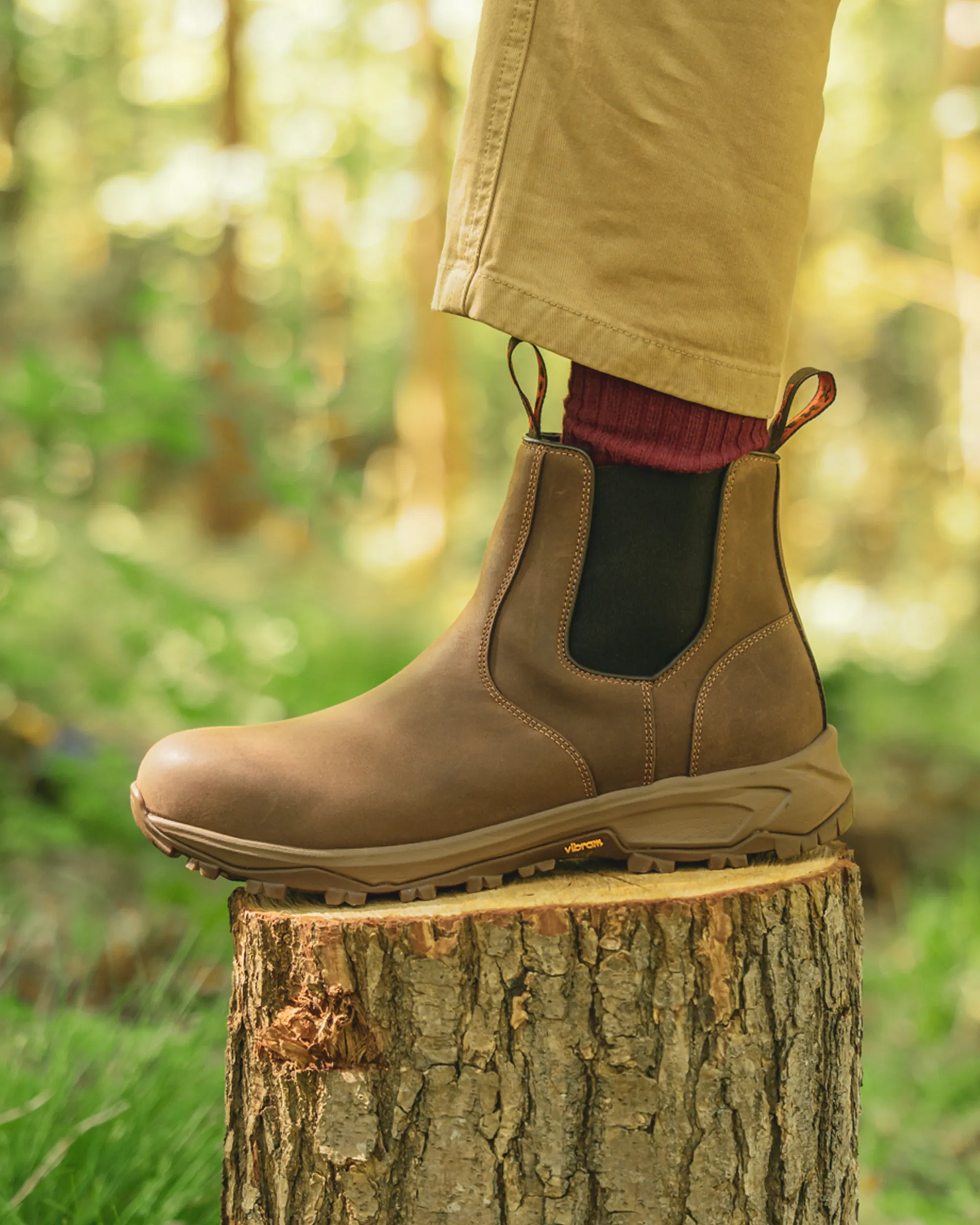 RIBCHESTER // CONKER DISTRESSED - Image 6